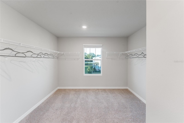 spacious closet with light carpet