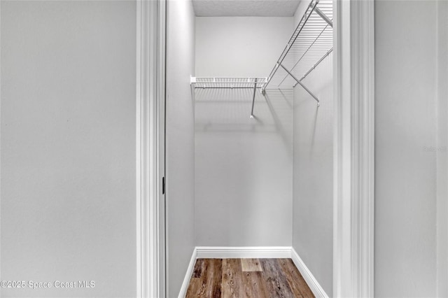 spacious closet featuring wood-type flooring