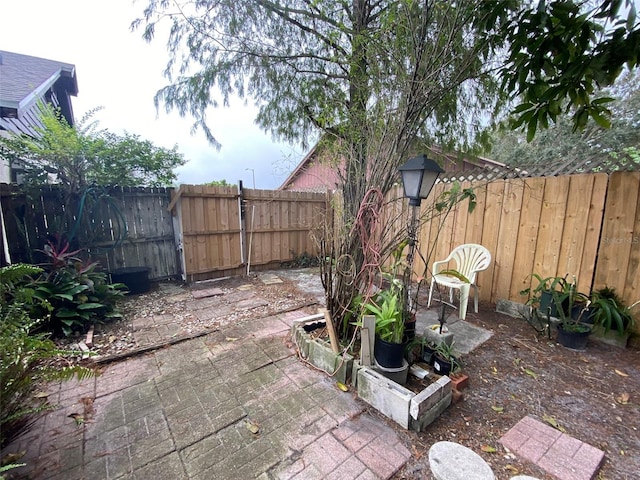 view of yard featuring a fenced backyard and a patio area