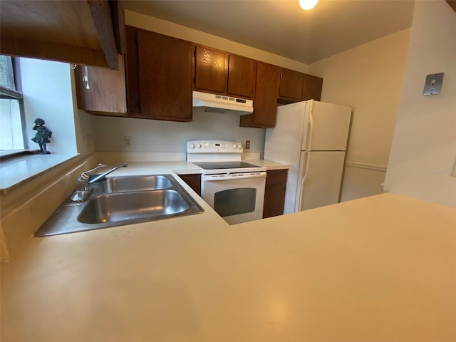 kitchen featuring a sink, white appliances, light countertops, and under cabinet range hood