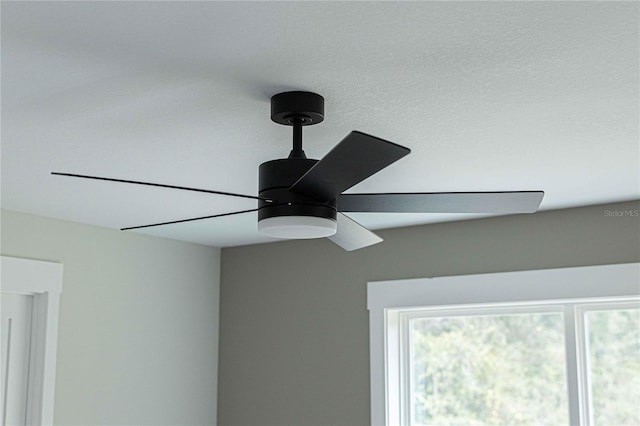 room details with ceiling fan