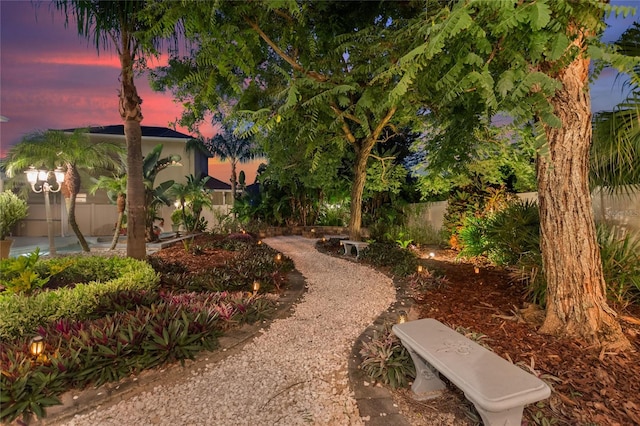 view of yard at dusk