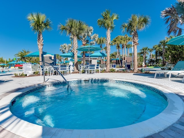 view of pool featuring a patio