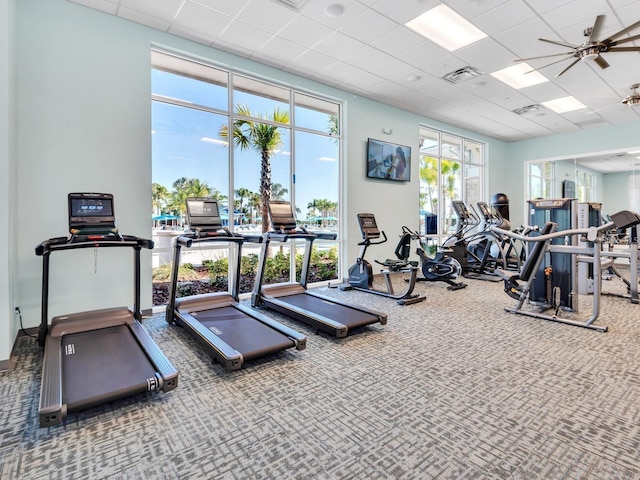 workout area with ceiling fan, a paneled ceiling, and carpet floors