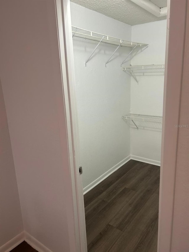 spacious closet with dark wood-type flooring