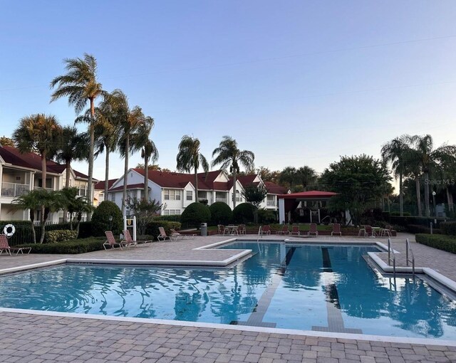 view of swimming pool with a patio