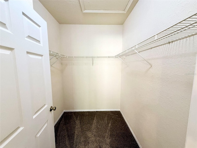 walk in closet with carpet floors