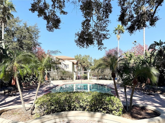 view of pool featuring a patio area