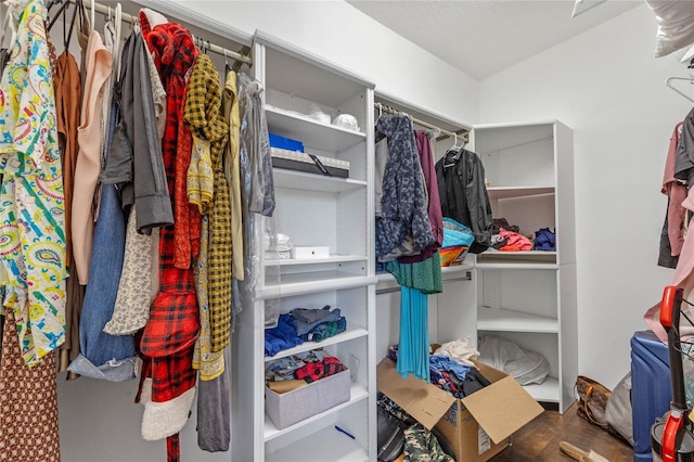 walk in closet featuring hardwood / wood-style flooring