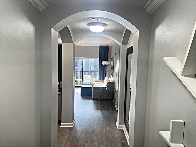 hallway with crown molding and dark wood-type flooring