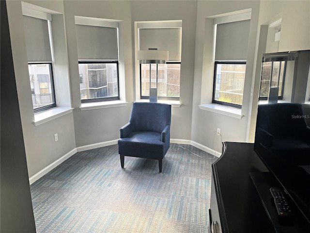 living area featuring carpet floors