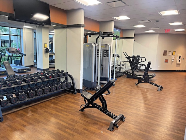 gym with hardwood / wood-style flooring and a drop ceiling