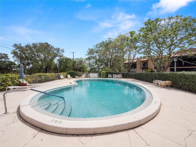 view of pool with a patio area