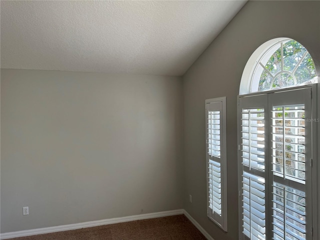 unfurnished room with vaulted ceiling, carpet, and a textured ceiling