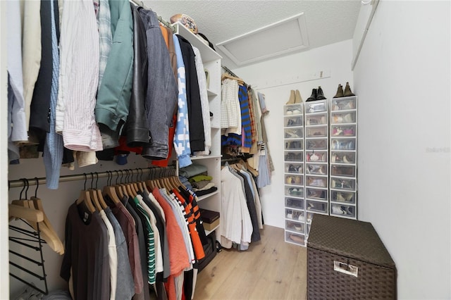 spacious closet with light hardwood / wood-style floors