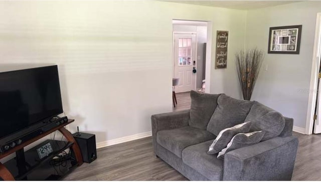 living room featuring hardwood / wood-style flooring