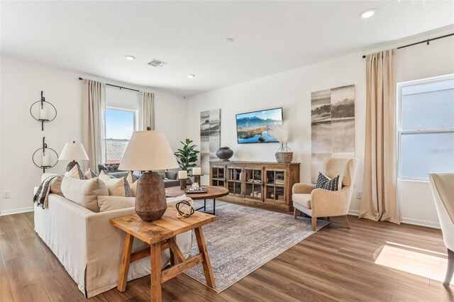 living room featuring wood-type flooring