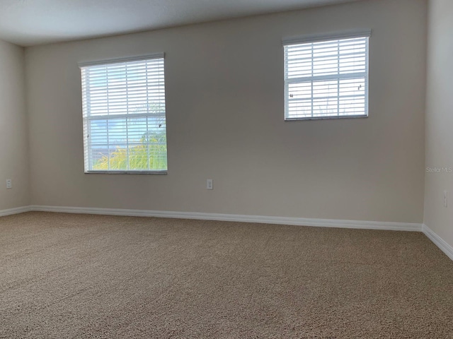 carpeted empty room with a healthy amount of sunlight