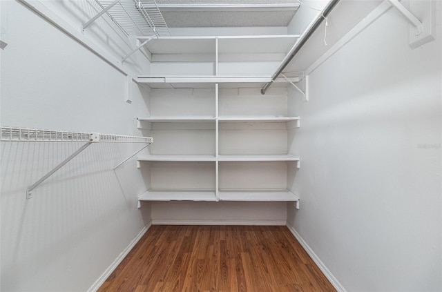 spacious closet featuring dark wood-type flooring