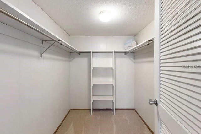 walk in closet with carpet flooring