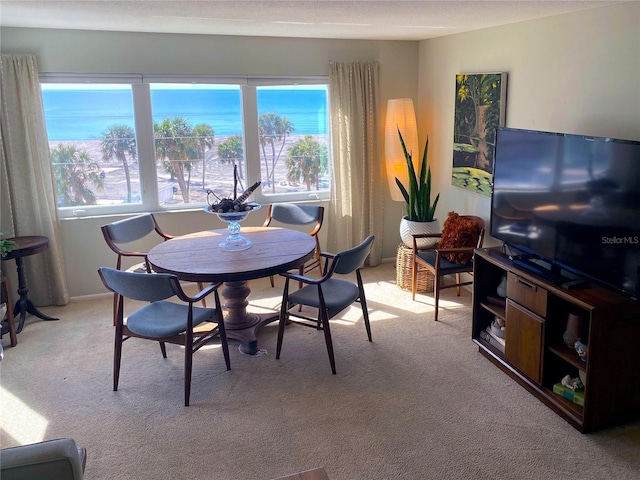 500 The Esplanade N Unit 405, Venice, FL 34285 - dining room featuring carpet flooring