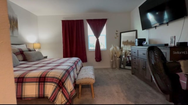 bedroom with carpet floors