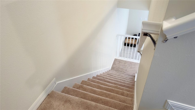 stairway with carpet floors