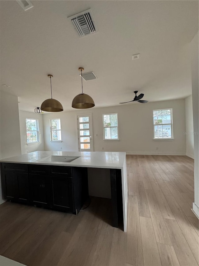 kitchen with pendant lighting, black electric stovetop, plenty of natural light, and light hardwood / wood-style floors