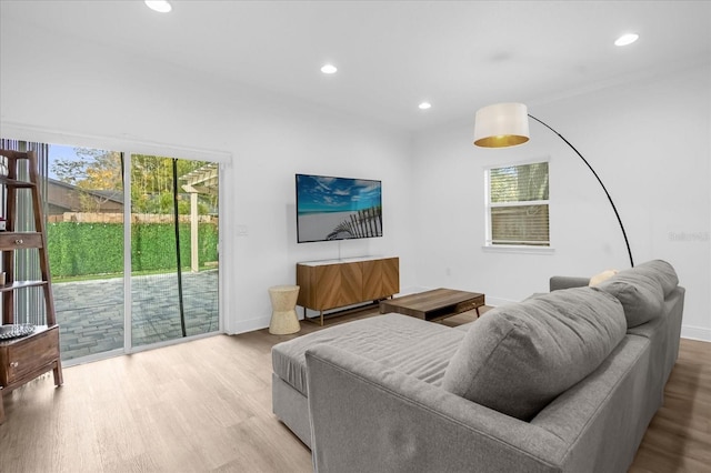 living room featuring light wood-type flooring