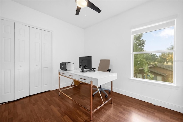 home office with ceiling fan and dark hardwood / wood-style flooring