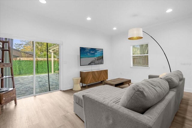 living room featuring light hardwood / wood-style flooring