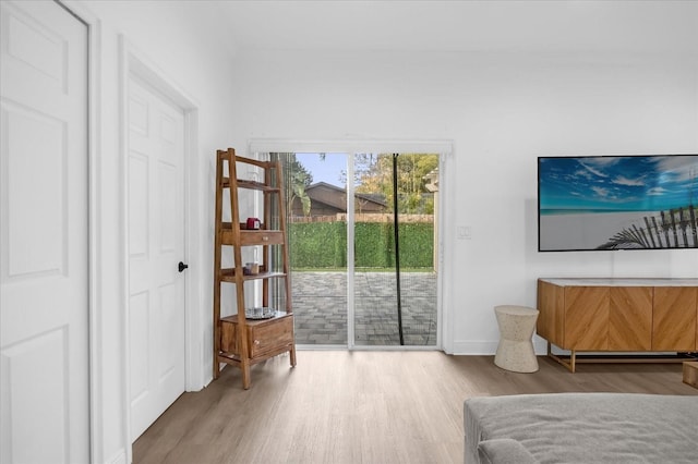 bedroom featuring access to exterior and hardwood / wood-style floors