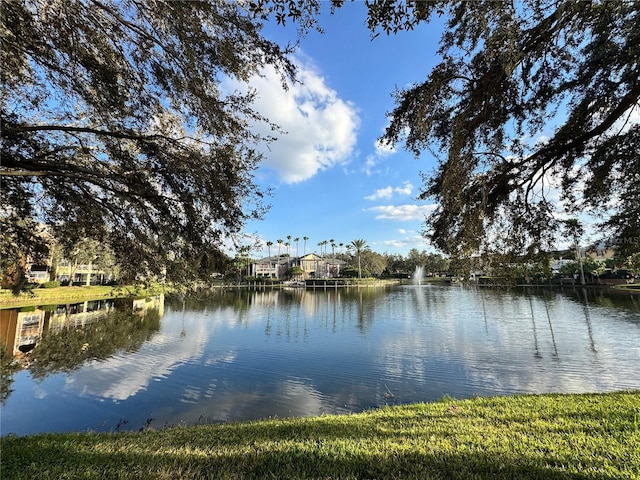 water view