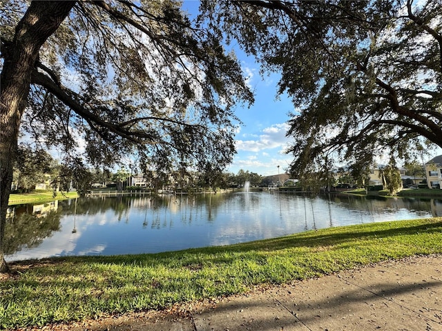 2328 Midtown Ter Unit 1024, Orlando, FL 32839 - water view
