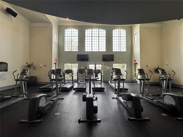 2328 Midtown Ter Unit 1024, Orlando, FL 32839 - exercise room featuring ornamental molding, plenty of natural light, and a towering ceiling