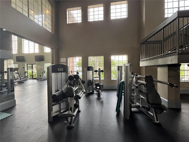 2328 Midtown Ter Unit 1024, Orlando, FL 32839 - gym with a high ceiling and baseboards
