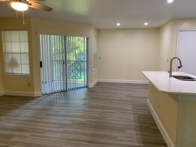 kitchen featuring sink, dark wood-type flooring, and ceiling fan