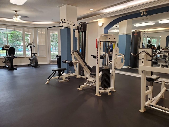 workout area featuring ceiling fan and ornamental molding