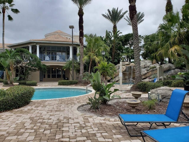 view of swimming pool with a patio