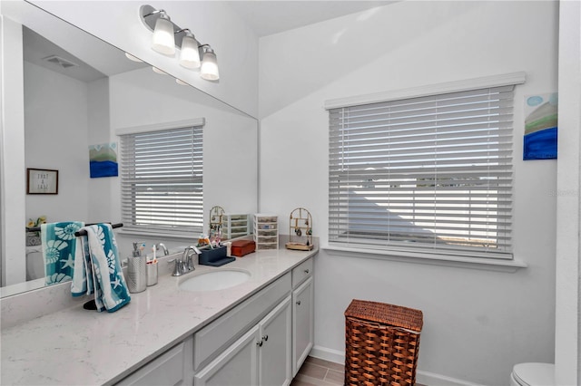 bathroom featuring vanity and a wealth of natural light