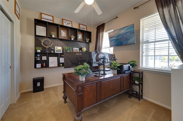 carpeted office featuring ceiling fan and a wealth of natural light