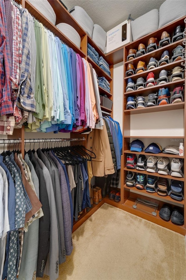 walk in closet featuring carpet floors