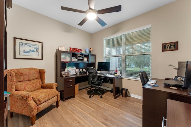 home office featuring ceiling fan and light wood-type flooring