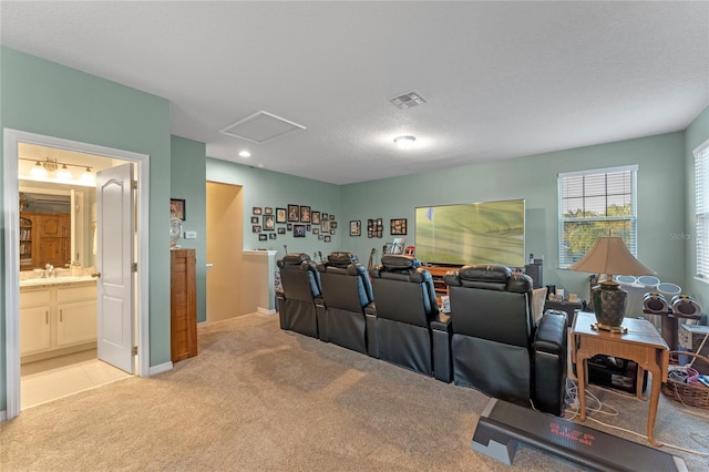 home theater room with sink, light colored carpet, and a textured ceiling