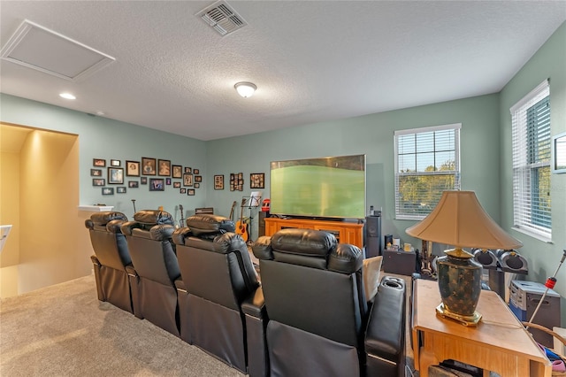 cinema room with carpet floors and a textured ceiling