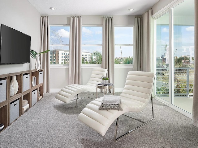 living area featuring carpet flooring