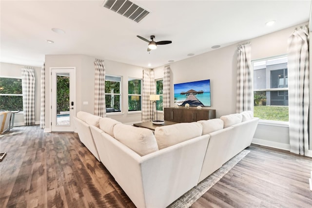 living room with ceiling fan and wood-type flooring