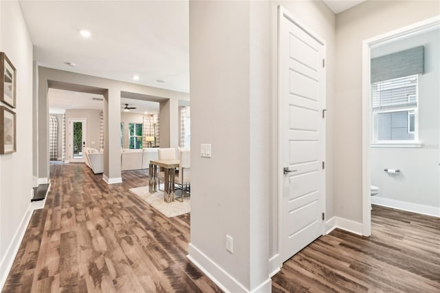 hallway featuring dark hardwood / wood-style flooring