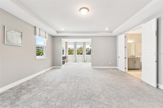 empty room with light colored carpet and a raised ceiling