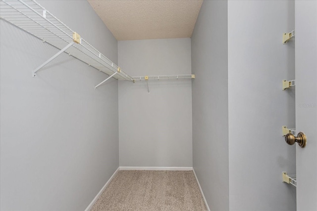 spacious closet with carpet floors